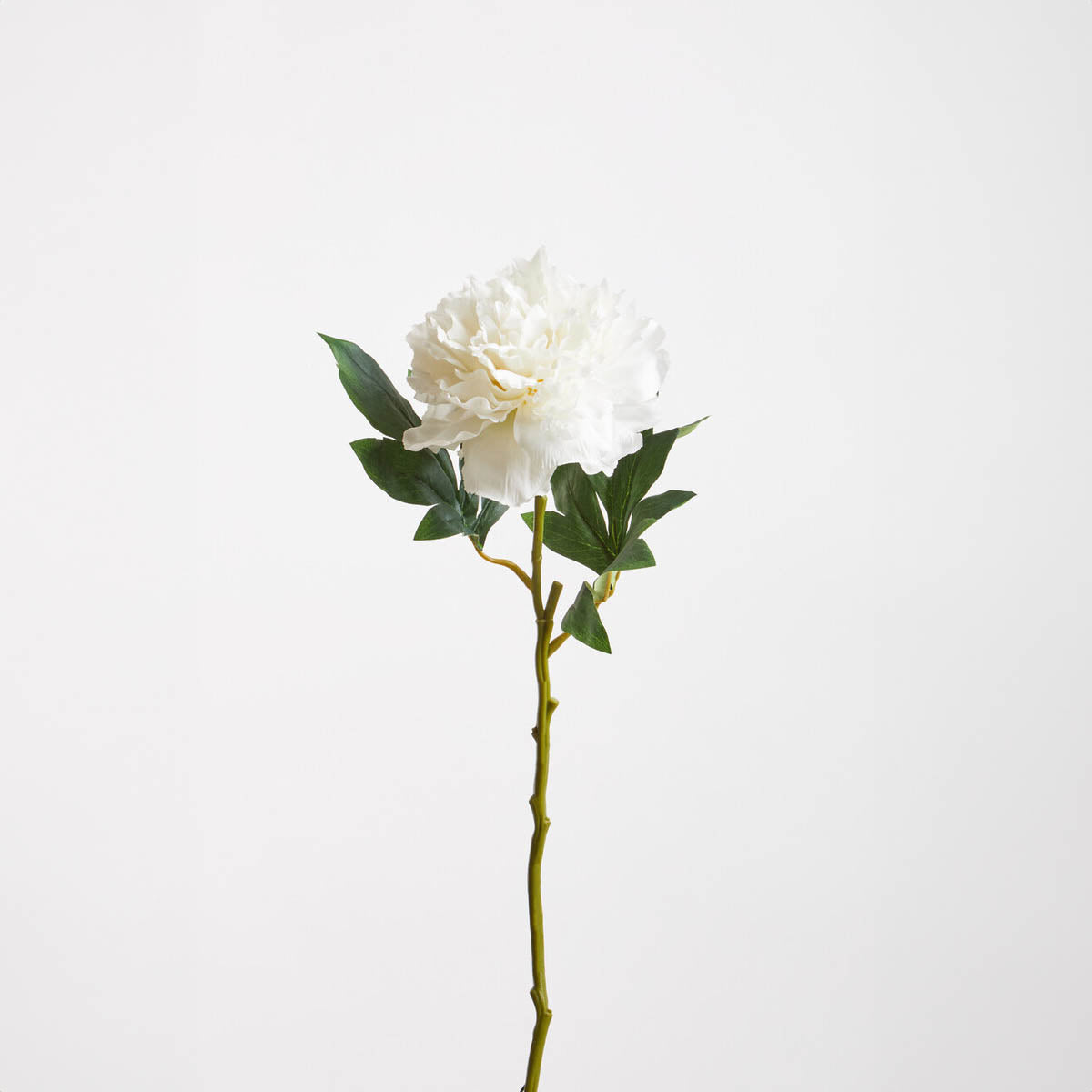 Fiori Artificial flowers White Peony Stem