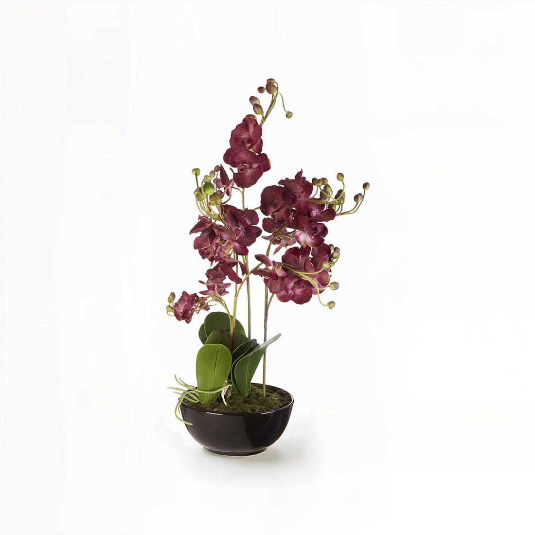 Fiori Artificial flowers Purple Orchid Plant