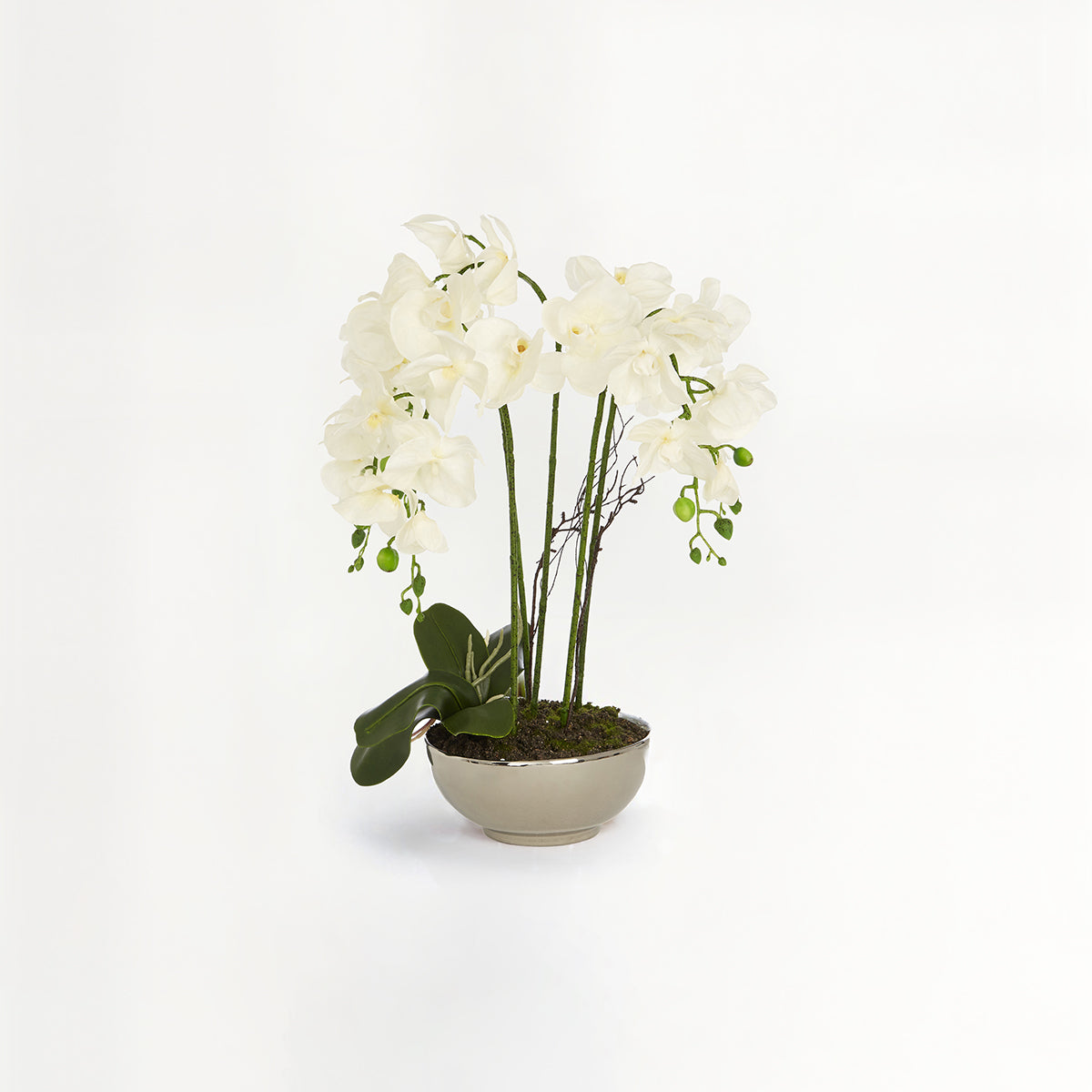 Fiori Artificial flowers White Orchid Plant in Round Pot