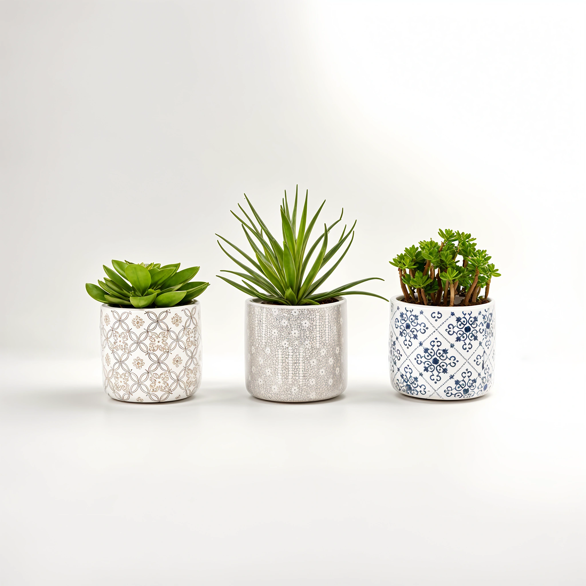 Fiori Set of 3 Succulents in Henna Ceramic Pots