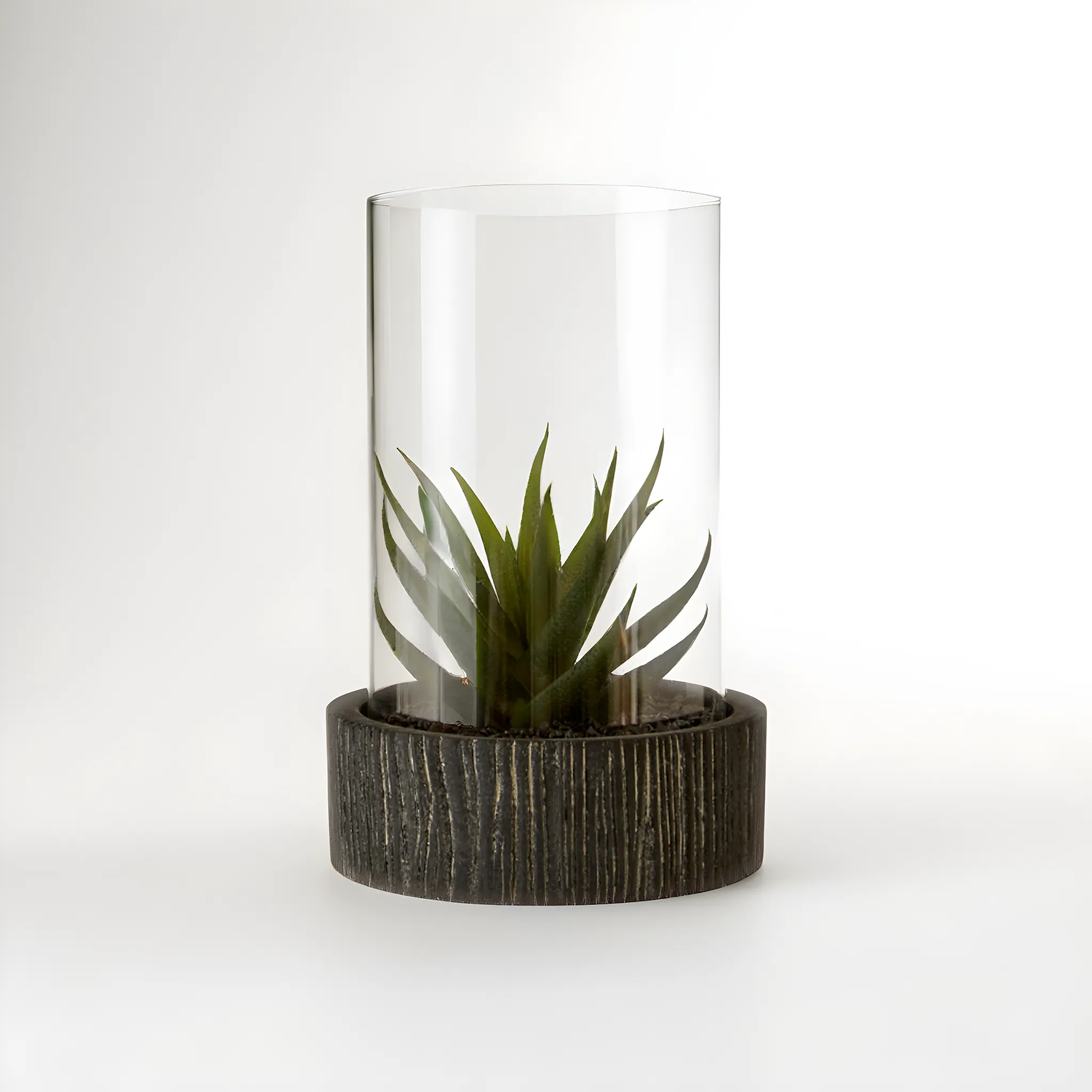 Fiori Large Succulent with Black Stone Base