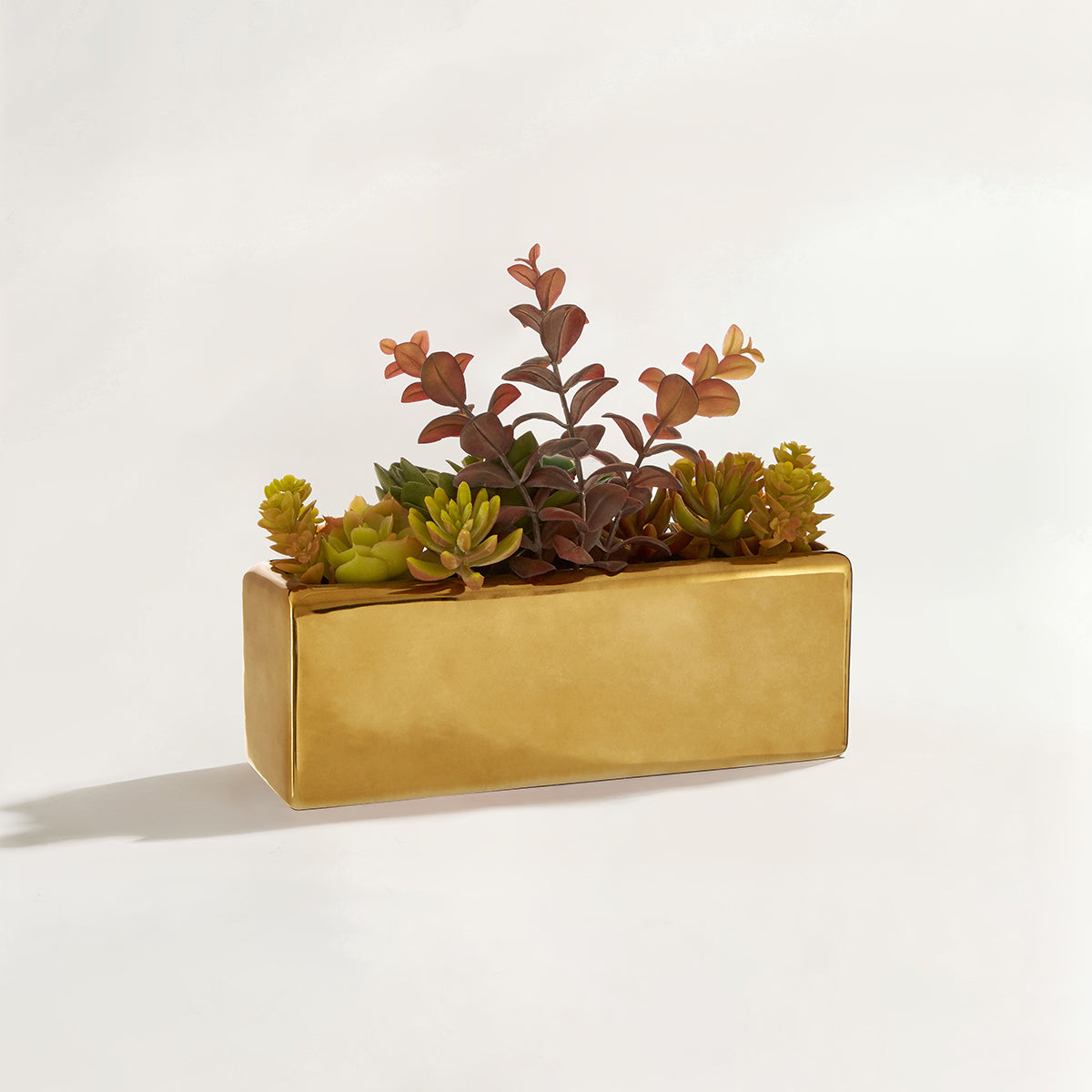 Mixed Succulents Fiori with Ceramic Gold Pot