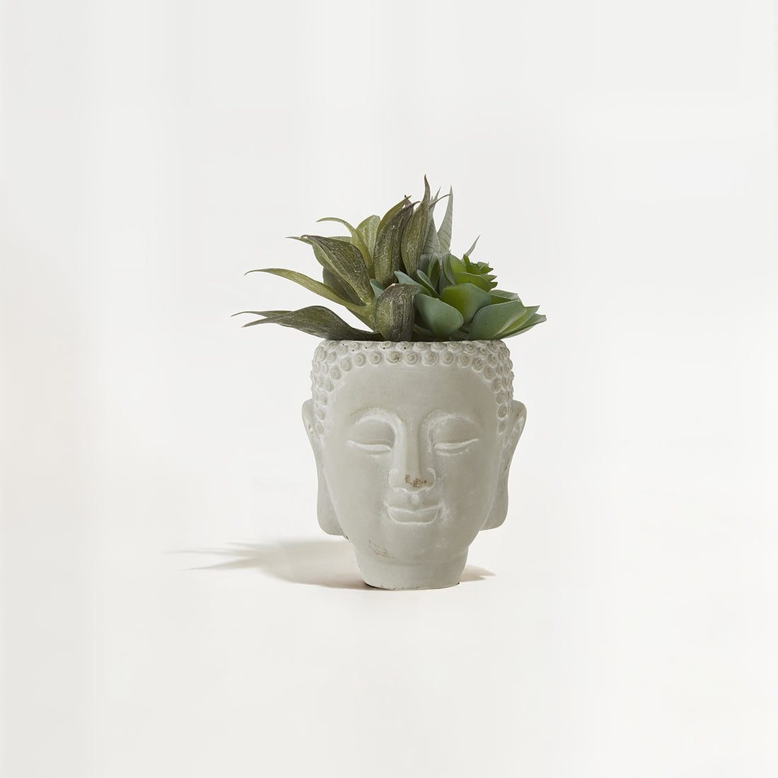 Fiori Buddha Pot Mixed Succulent