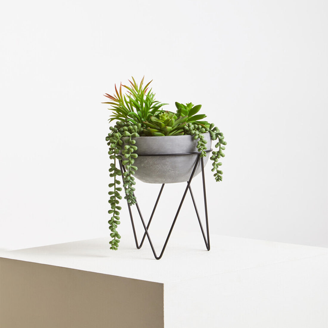 Fiori Mixed Succulent with Metal Stand