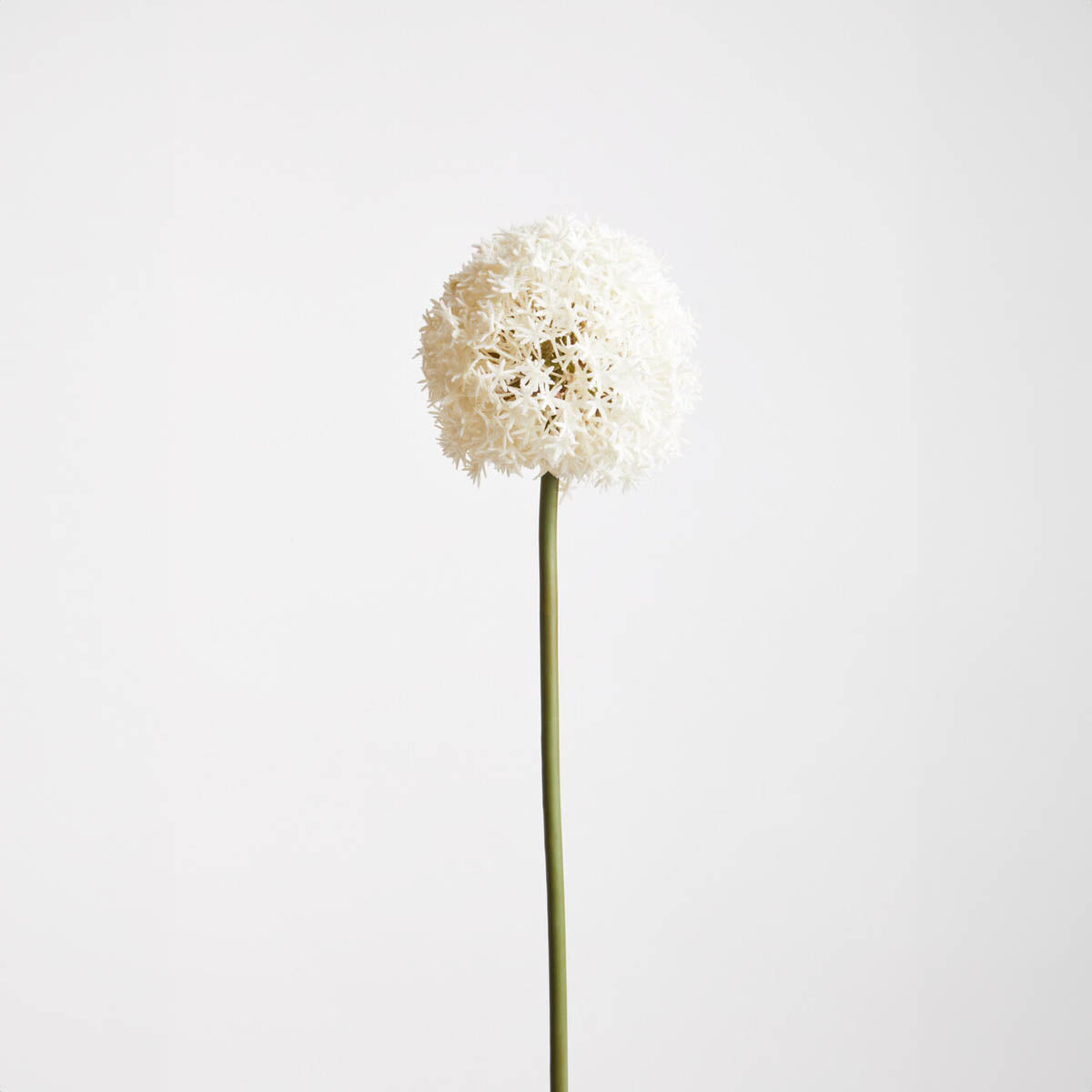 Fiori Ivory Faux Allium Stem