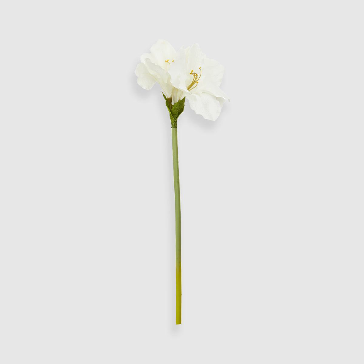 Fiori Artificial flowers 72cm Amarylilis Stem Ivory Flower