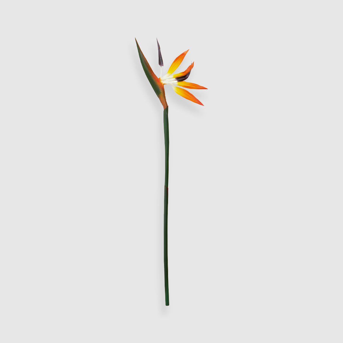 Fiori Artificial flowers 92cm Bird Of Paradise