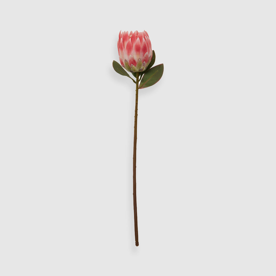 Fiori Artificial flowers 62cm Protea Stem Pink Flower