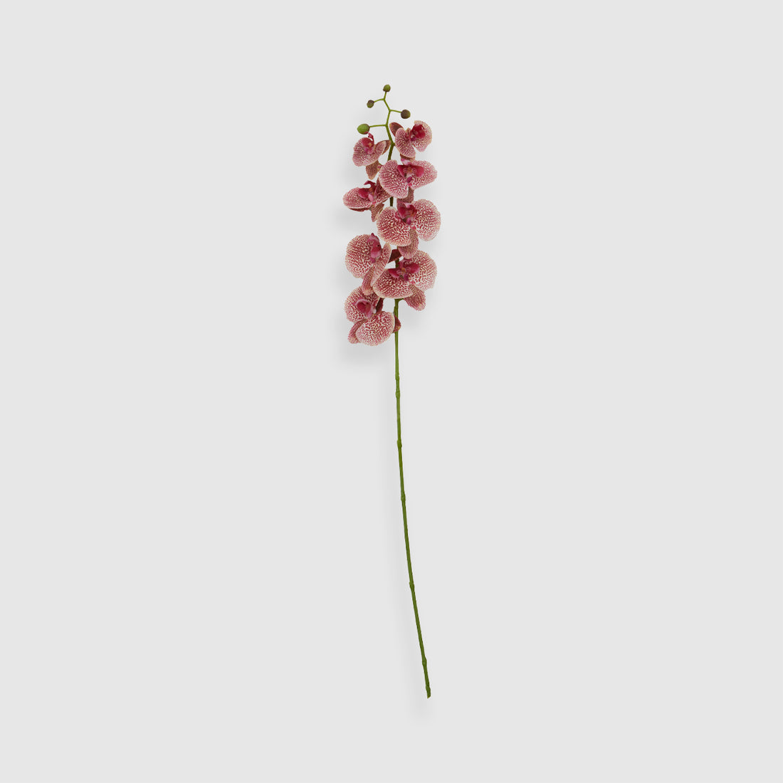 Fiori Artificial flowers 100cm Spray Pink Orchid