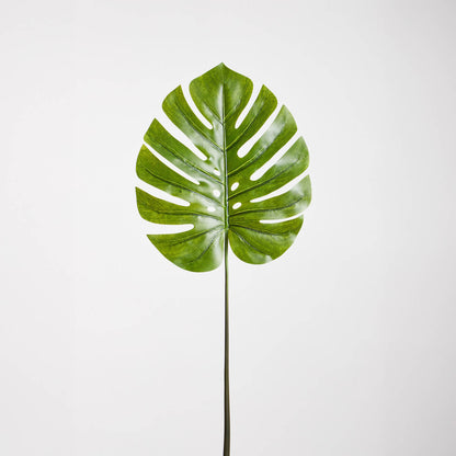 Fiori 109cm Green Stem Monstera Palm