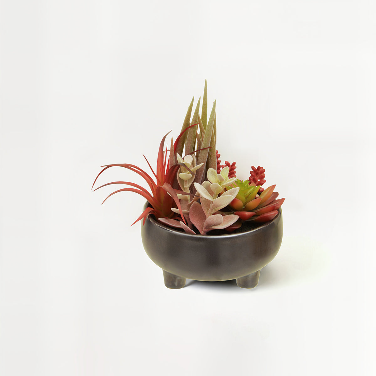 Fiori Mixed Succulents In Grey Ceramic Pot